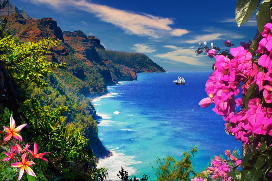 Hawaii coastline with tropical flowers